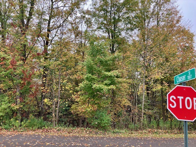 Johnstown, Pennsylvania 15909, United States, ,Residential,Pending,41603