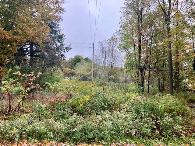 Johnstown, Pennsylvania 15909, United States, ,Residential,Pending,41603