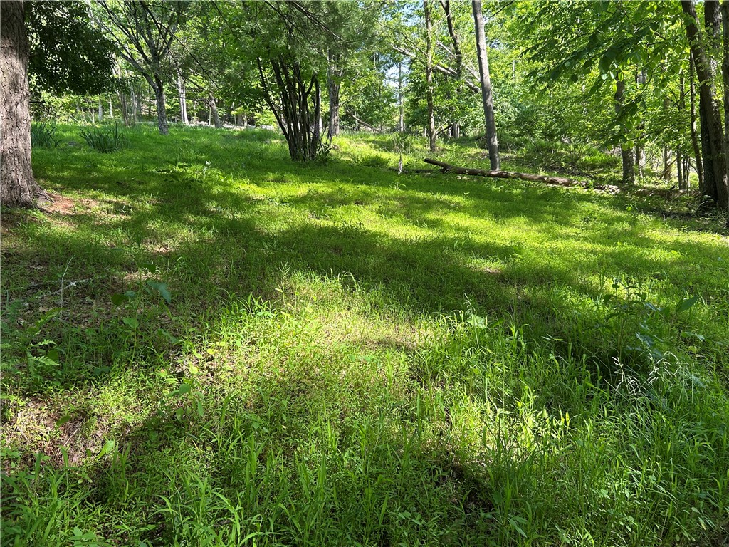 170 Clarks Hollow Rd