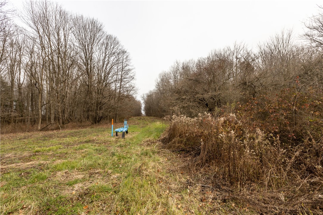 0 Kitch Rd at Linn Tyro Rd