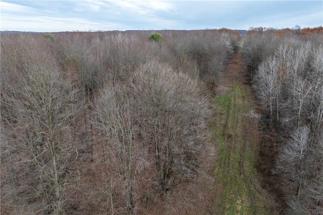 0 Kitch Rd at Linn Tyro Rd