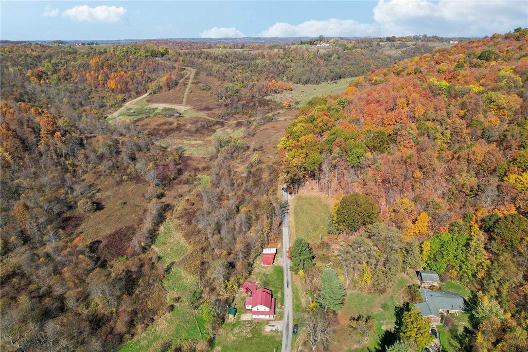 175 Long Woods Rd Rd, Waynsbrg/Frankln Twp, Kentucky image 4