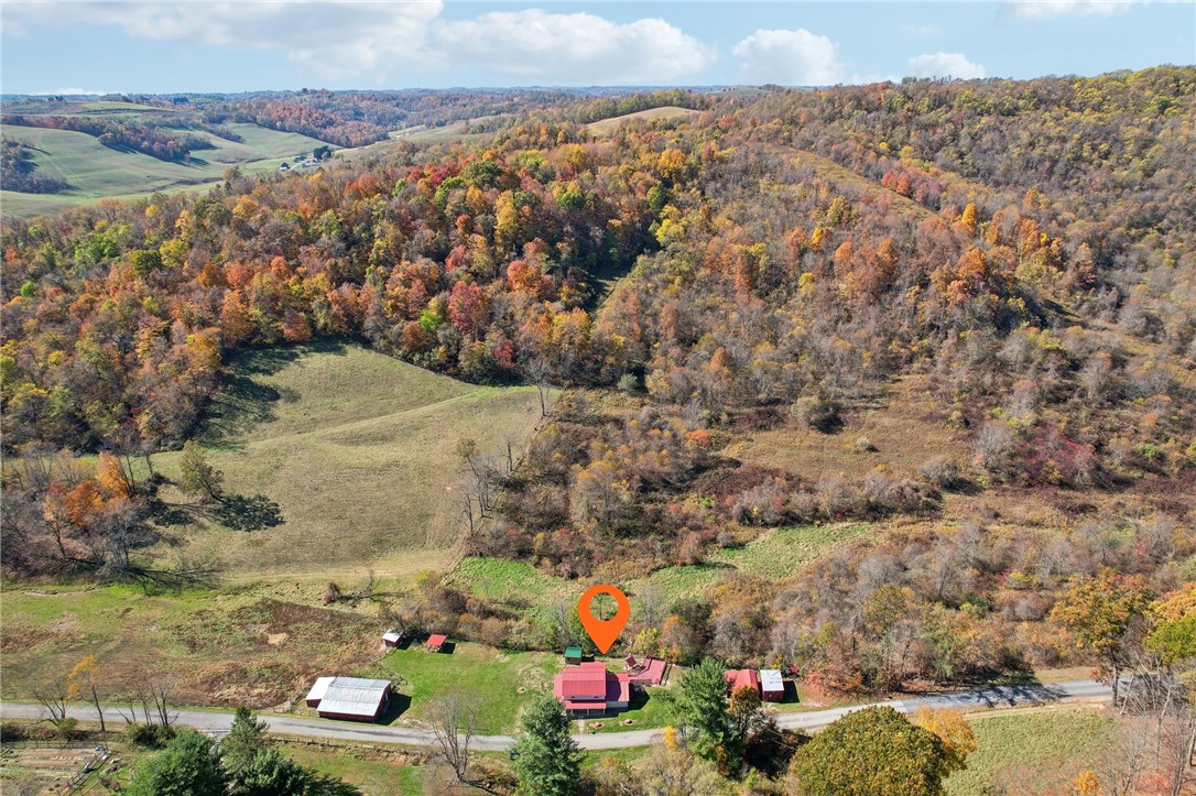 175 Long Woods Rd Rd, Waynsbrg/Frankln Twp, Kentucky image 3
