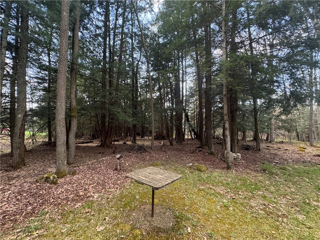 Montgomery/Grant, Pennsylvania 15771, United States, 1 Bedroom Bedrooms, ,1 BathroomBathrooms,Residential,Pending,116335