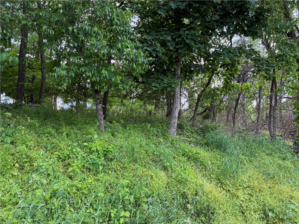 78-79 Timothy Drive, Murrysville, Pennsylvania image 1
