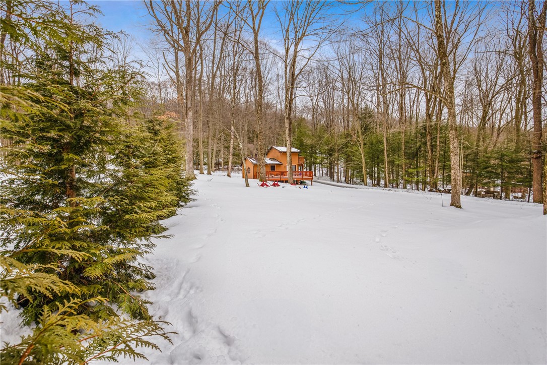 Jefferson Twp - Som, Pennsylvania 15501, United States, 1 Bedroom Bedrooms, ,1 BathroomBathrooms,Residential,Pending,78203