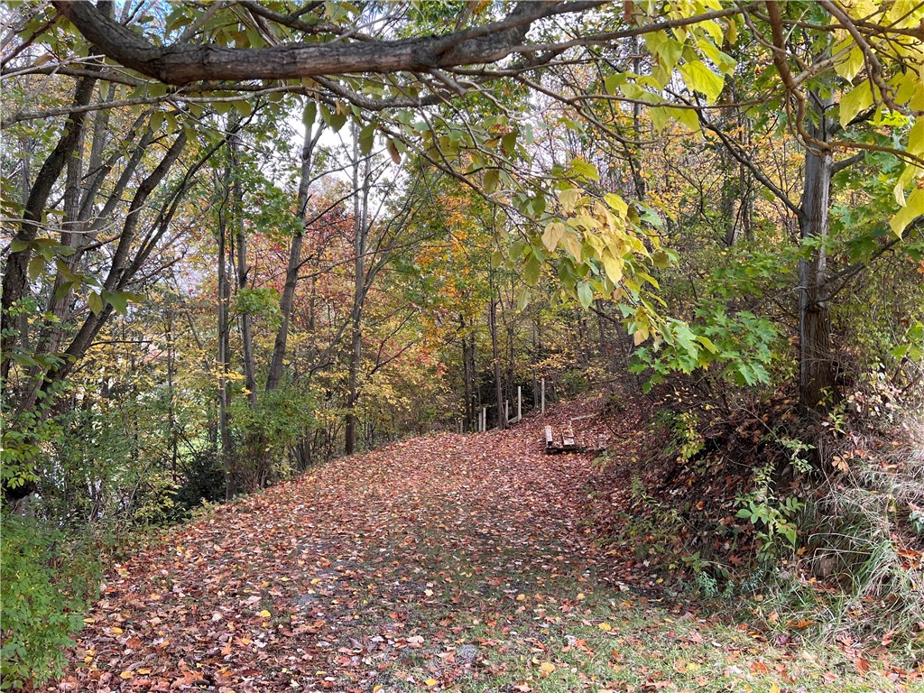 517 W Waterloo Rd Rd, Louisville, Kentucky image 20