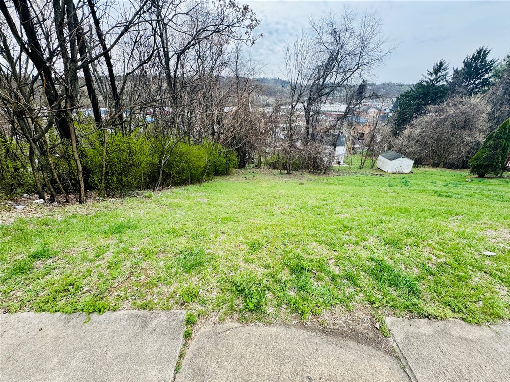 126 Vine St, Canonsburg, Pennsylvania image 3