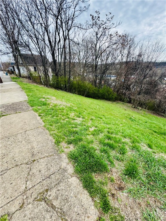 126 Vine St, Canonsburg, Pennsylvania image 2