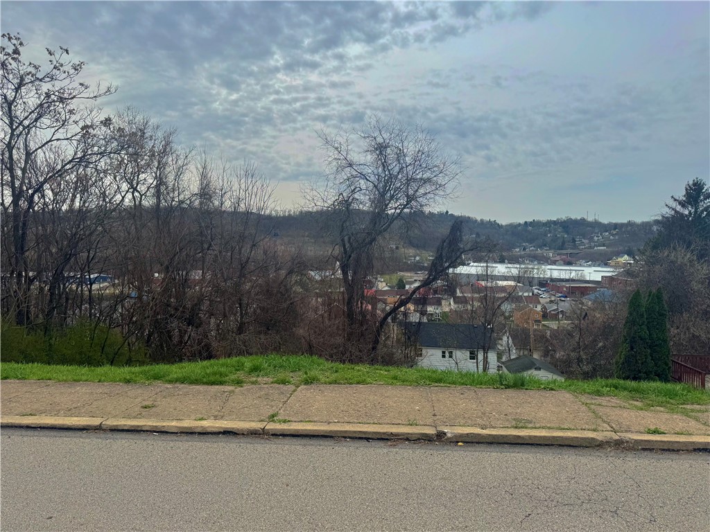 126 Vine St, Canonsburg, Pennsylvania image 5