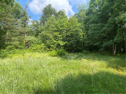 Photo for 000 Roaring Run Rd