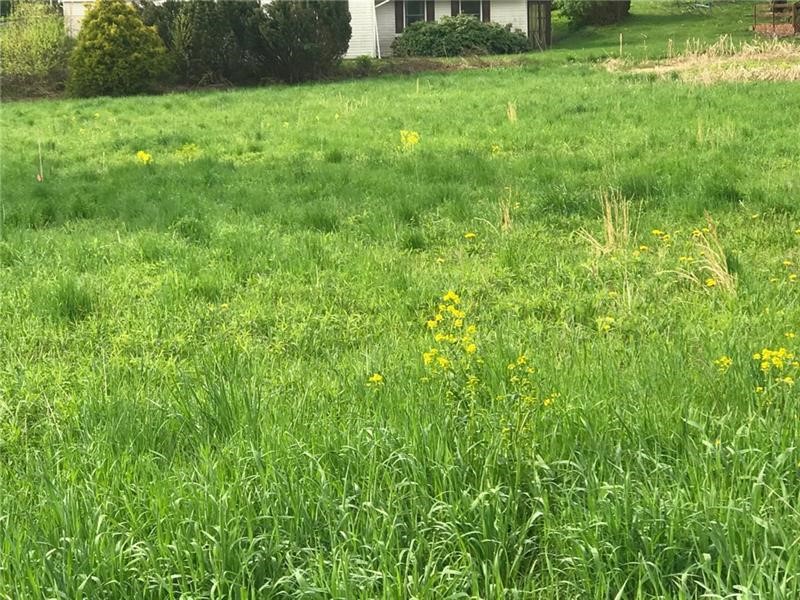 268 S Rebecca Street