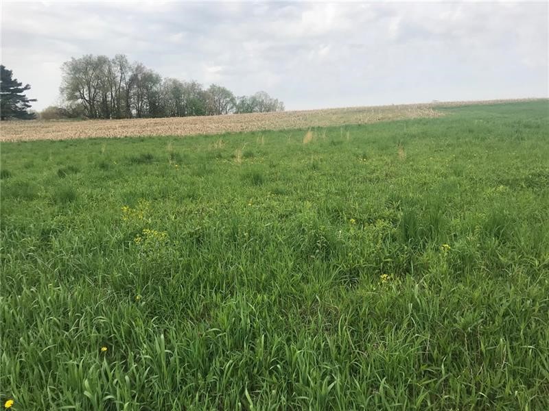 268 S Rebecca Street