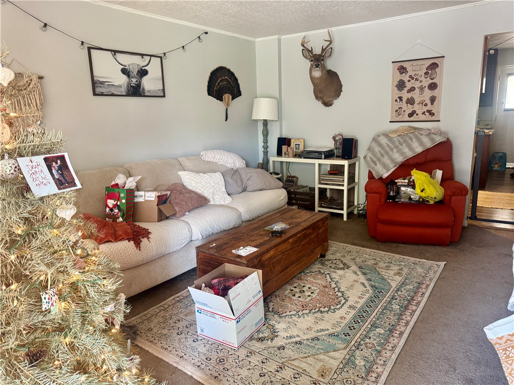 Twp Of But NW, Pennsylvania 16001, United States, ,Residential,Contingent,158341