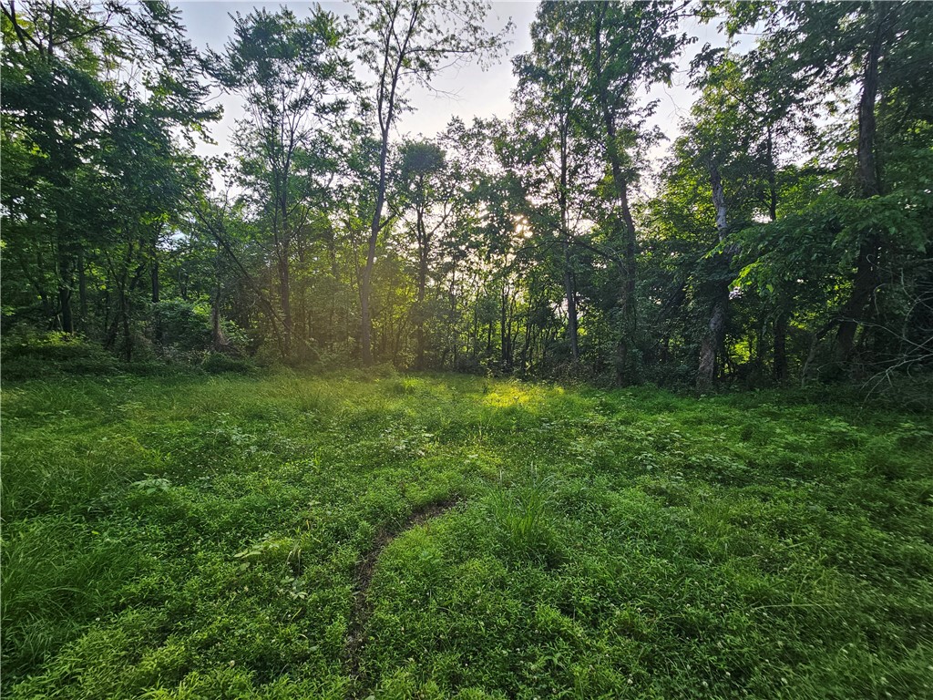 0 Fallen Timber Rd