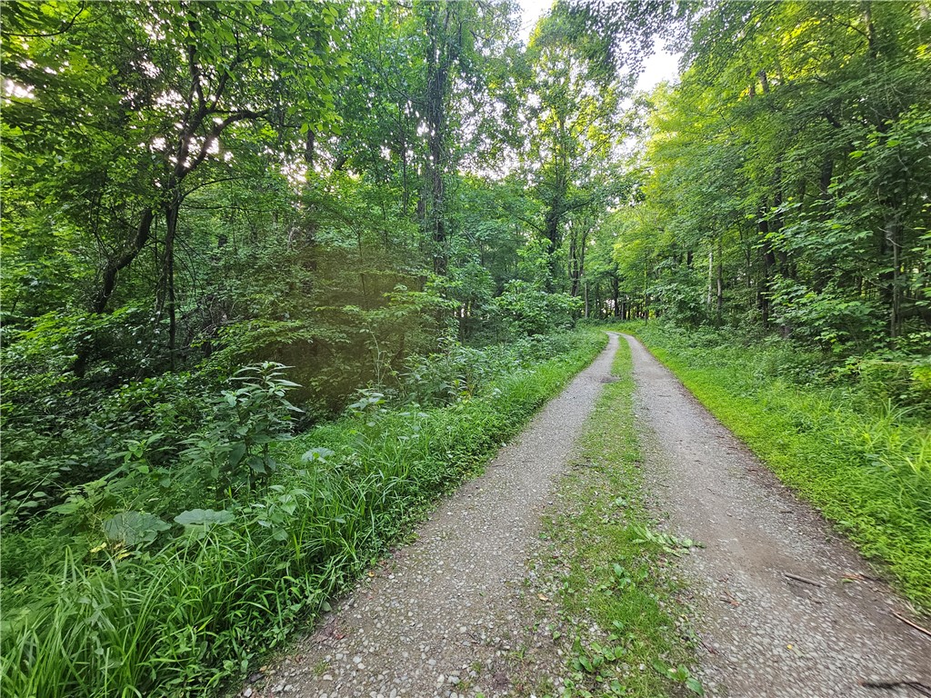 0 Fallen Timber Rd