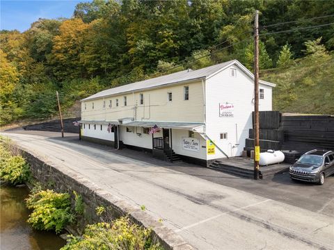 Multifamily For Sale - 618 Pike Run Drive Dr<br/> California, PA 15427