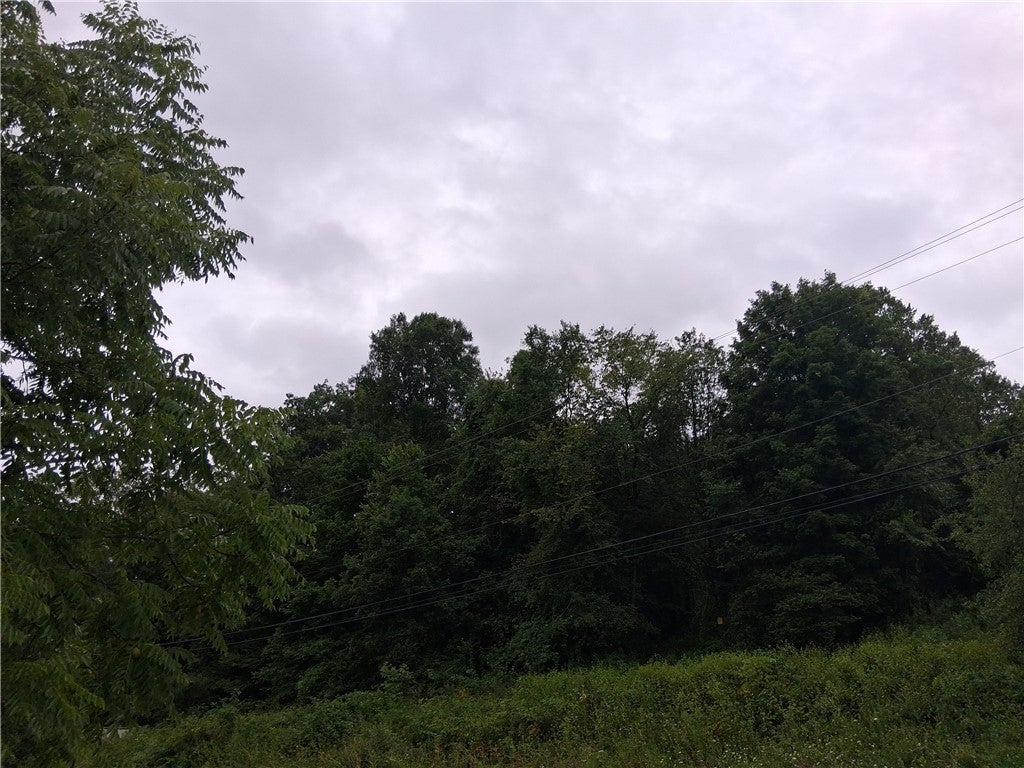 886 Seabright Road