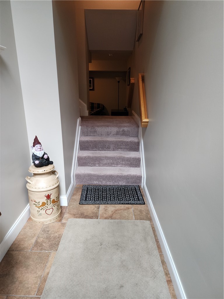 421 Shaler St.