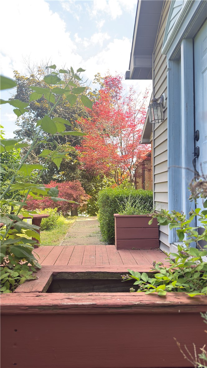 293 Spring Run Rd