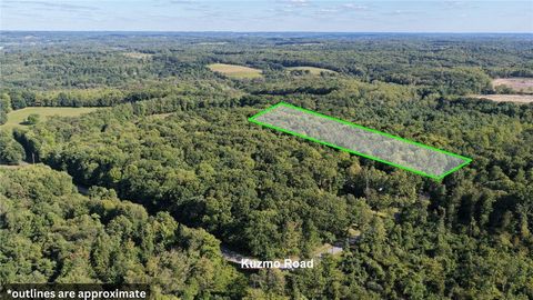 Photo of 195 Kuzma Rd, West Sunbury, PA 16061 (MLS # 1740120)