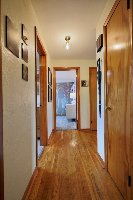 109 Olive Dr