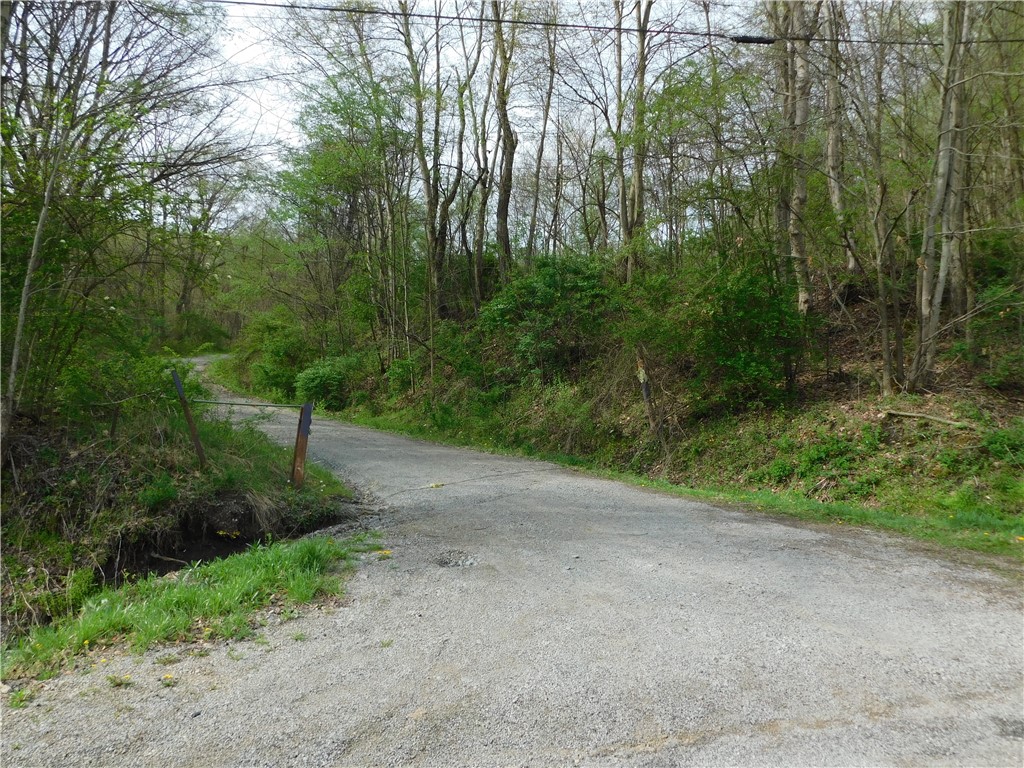 - Alberts Road