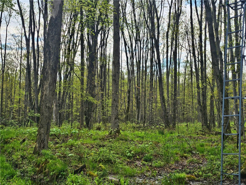 16619 John Brown Rd Rd, Guys Mills, Pennsylvania image 20