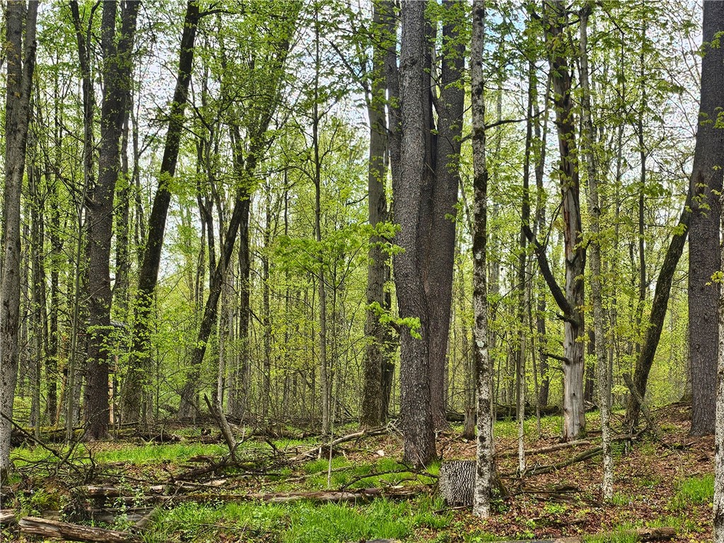 16619 John Brown Rd Rd, Guys Mills, Pennsylvania image 22