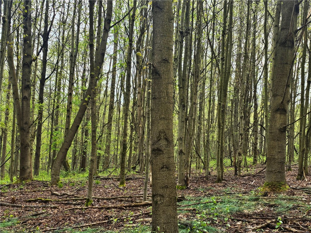 16619 John Brown Rd Rd, Guys Mills, Pennsylvania image 21