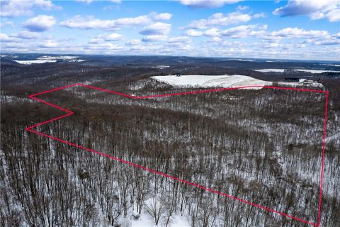 Photo of 0 Nye Road, Ellwood City, PA 16051 (MLS # 1737298)