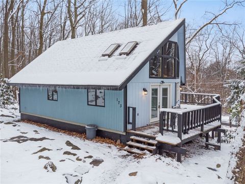 Photo of 173 Snowshoe Road, Acme, PA 15610 (MLS # 1732828)
