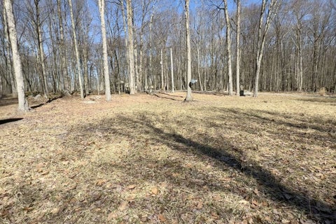 Photo for 55 St Marc Rd