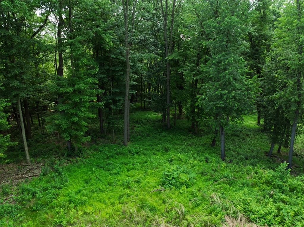 805 Mount Pleasant Rd