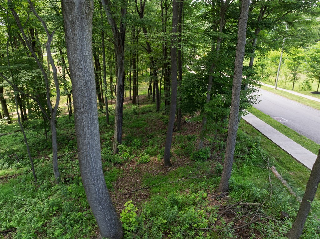 805 Mount Pleasant Rd