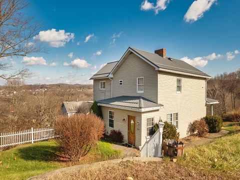 223-227 Old Mill Road Washington Twp PA 15613