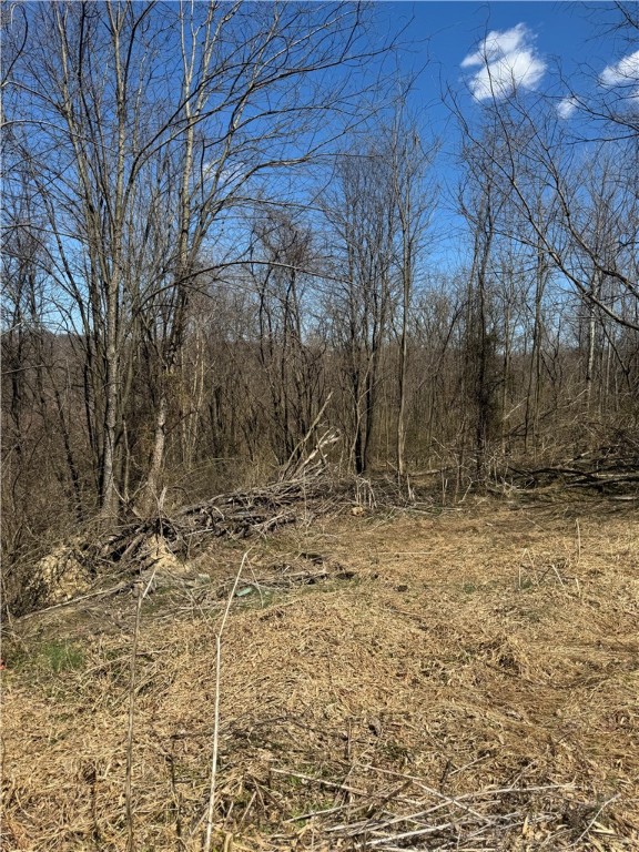 695 Meadow, California, Pennsylvania image 2