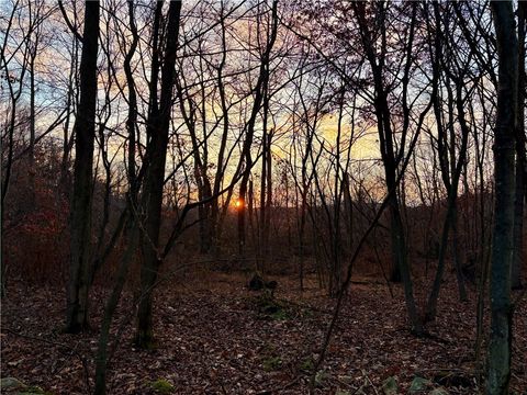 Photo of 0 Rustic Ridge Rd, Champion, PA 15622 (MLS # 1731781)