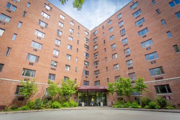 401 SHADY AVE APT C204, PITTSBURGH, PA 15206 - Image ca5412fa553fc1d8763e6a07ba3a2589/4253501443