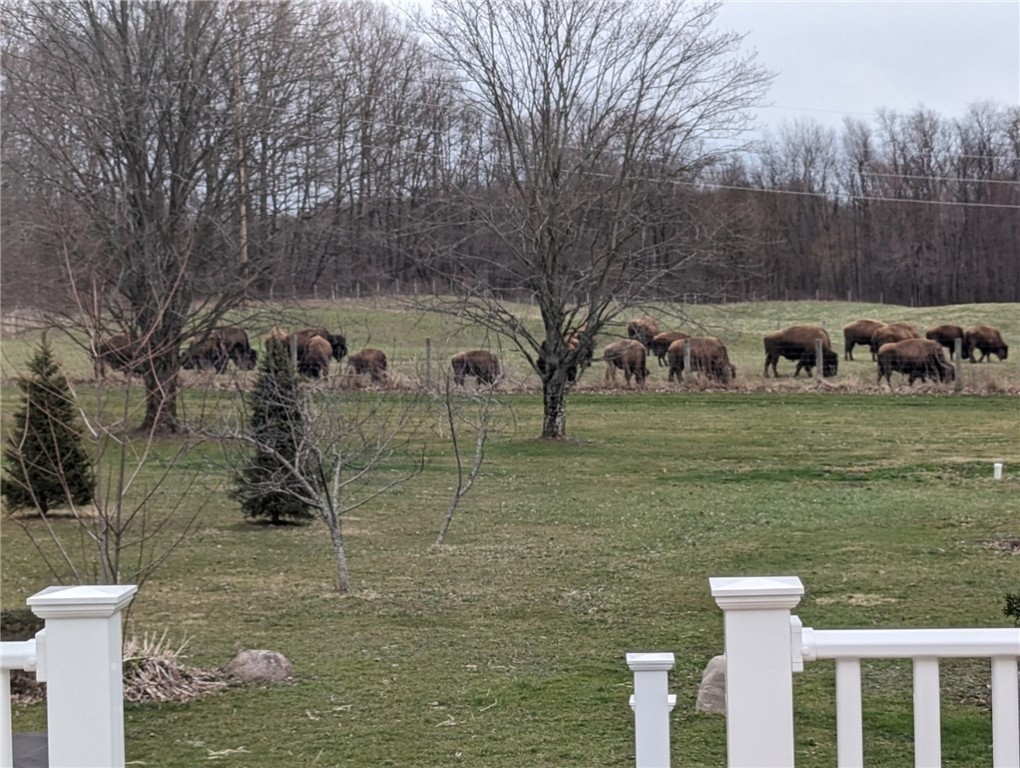 Mercer Twp - But, Pennsylvania 16057, United States, 3 Bedrooms Bedrooms, ,2 BathroomsBathrooms,Residential,Active,94938