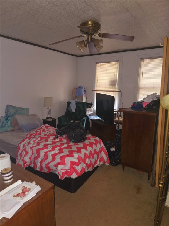 226 Glenwood Ave Ave, Hazelwood, Pennsylvania image 6