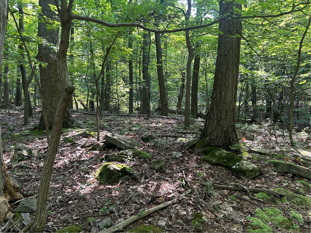 LOT 934 Ski Slope RD