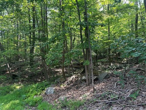 LOT 934 Ski Slope RD Bullskin Twp PA 15610