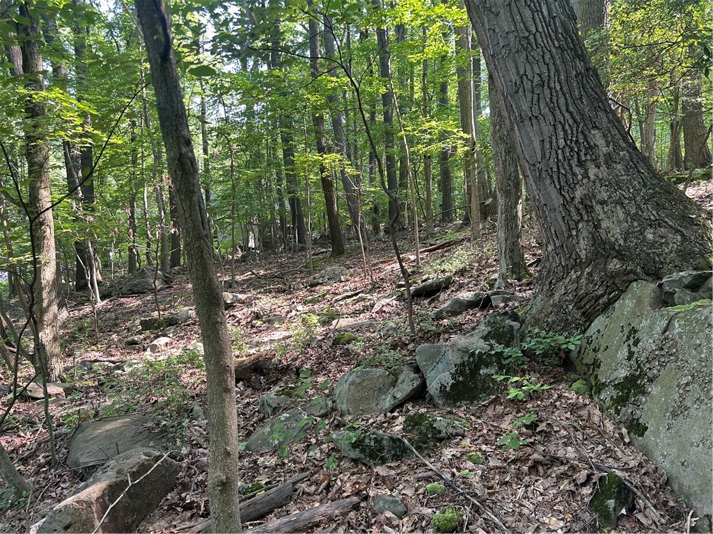 LOT 934 Ski Slope RD
