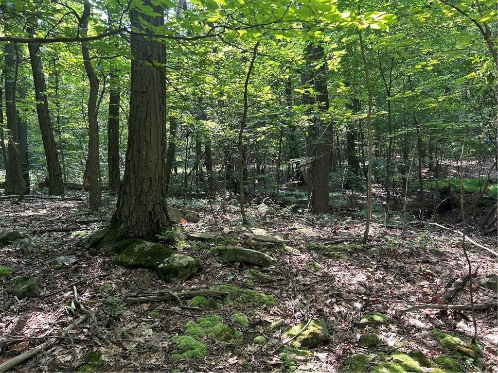 LOT 934 Ski Slope RD
