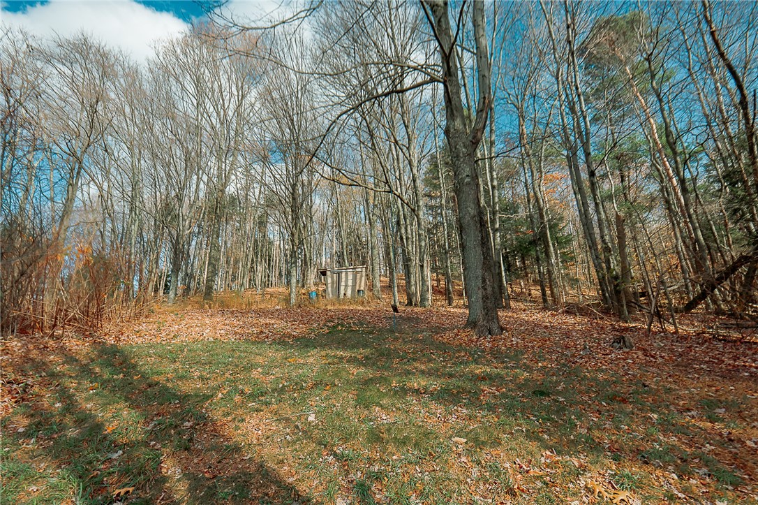 459 N Ben Franklin Rd Rd, White Twp - IND, Kentucky image 37
