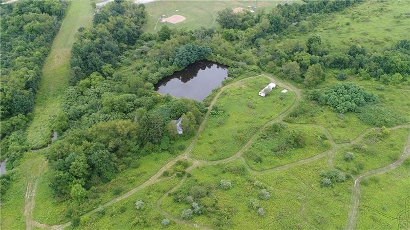 Lot 2 State Route 168, South Beaver Twp, Kentucky image 3