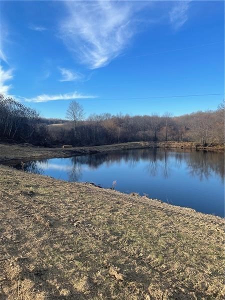Lot 2 State Route 168, South Beaver Twp, Kentucky image 9