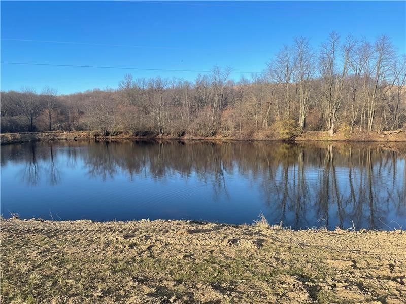 Lot 2 State Route 168, South Beaver Twp, Kentucky image 2