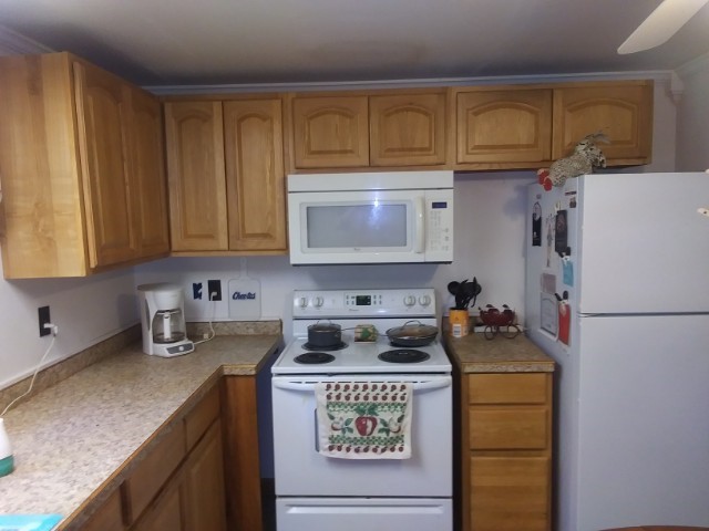 1158 Beech Ln Ln, Kane, Pennsylvania image 11